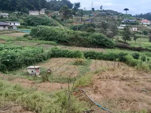 Photo - Land for Sale in Nuwaraeliya