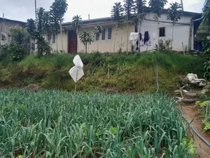 Land for Sale in Nuwaraeliya