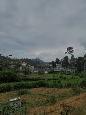 Land for Sale in Nuwaraeliya