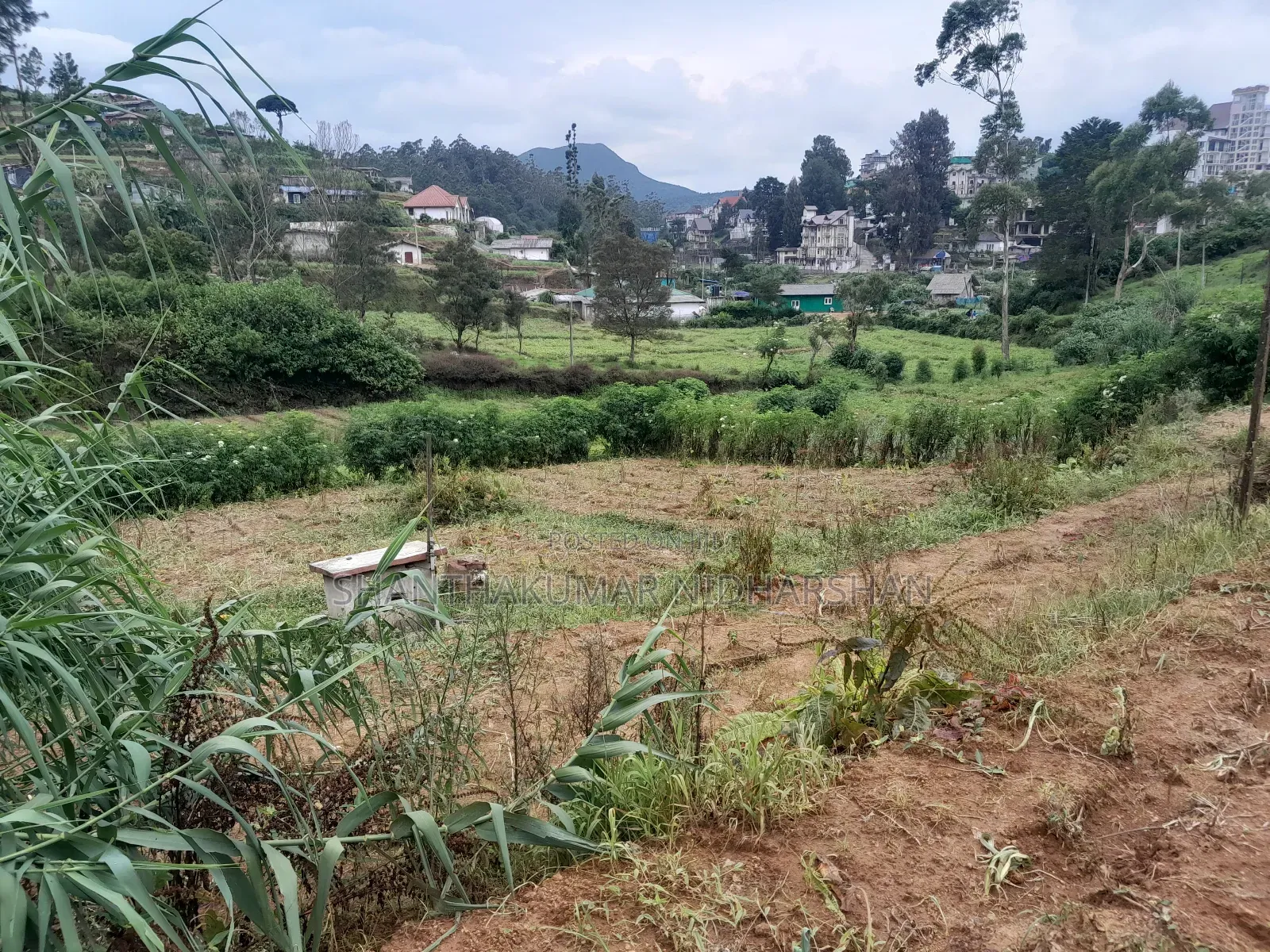 Land for Sale in Nuwaraeliya