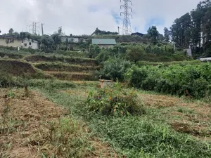 Land for Sale in Nuwaraeliya