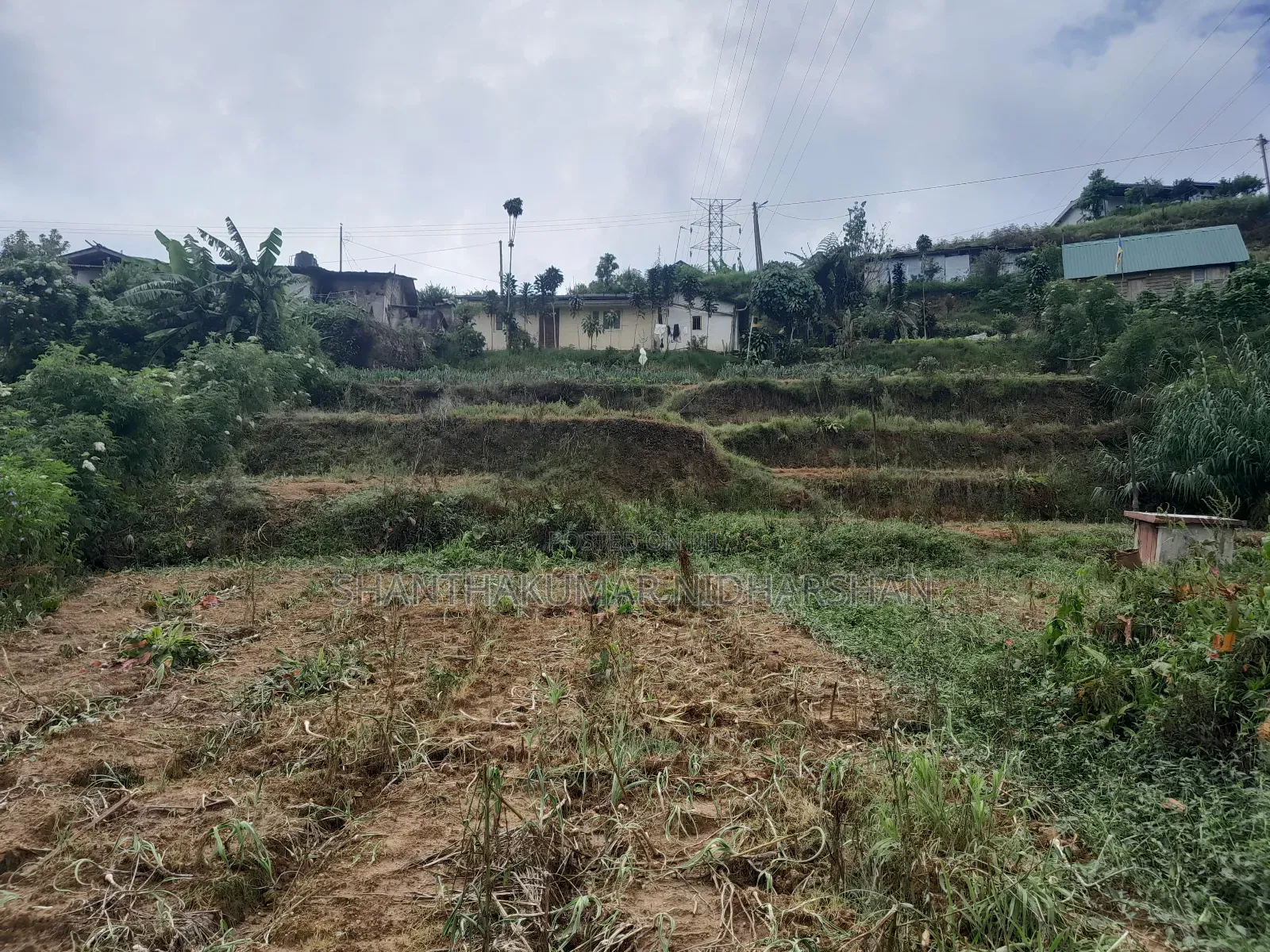 Land for Sale in Nuwaraeliya