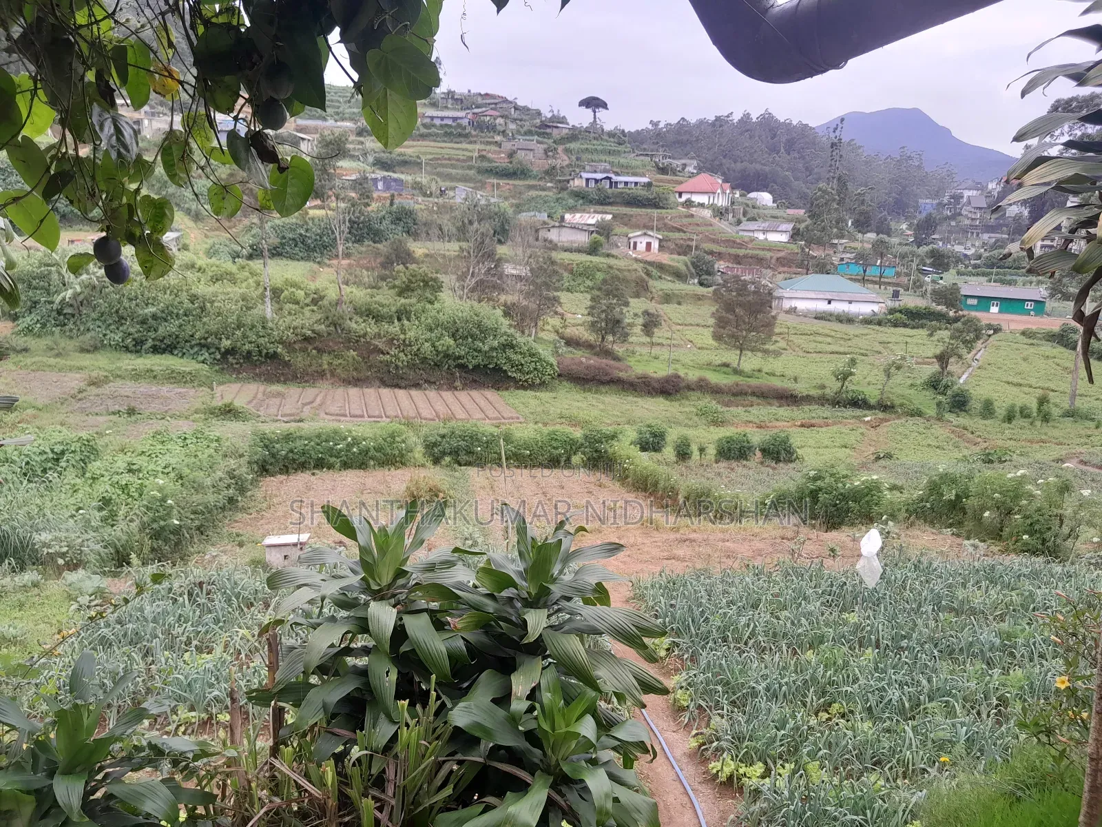 Land for Sale in Nuwaraeliya