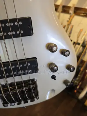 Ibanez SDGR Sr305e 1p - 02 5 String Bass Guitar