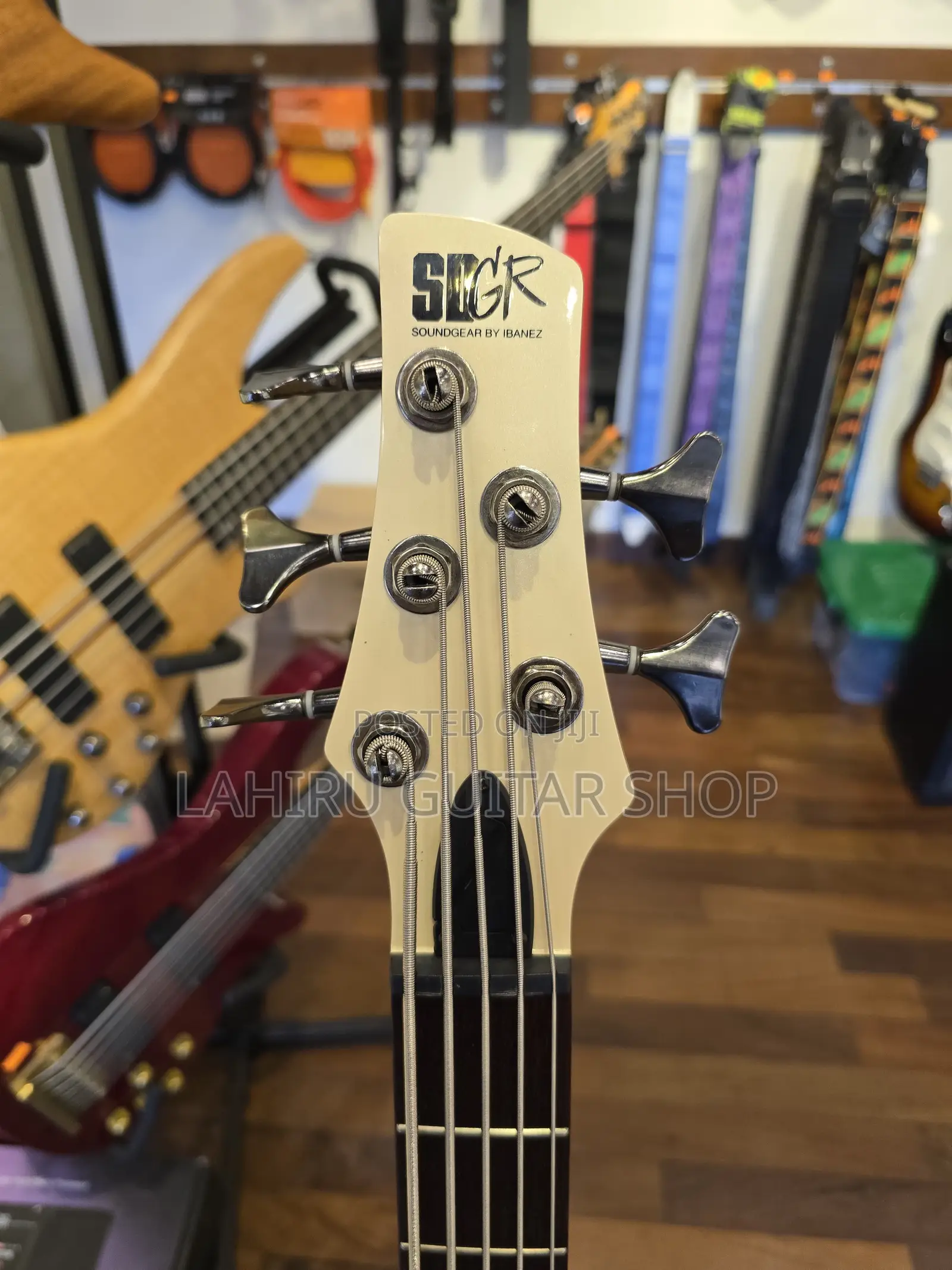Ibanez SDGR Sr305e 1p - 02 5 String Bass Guitar