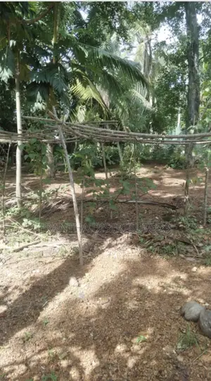 Photo - Land for Sale