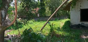 Photo - Land for Sale