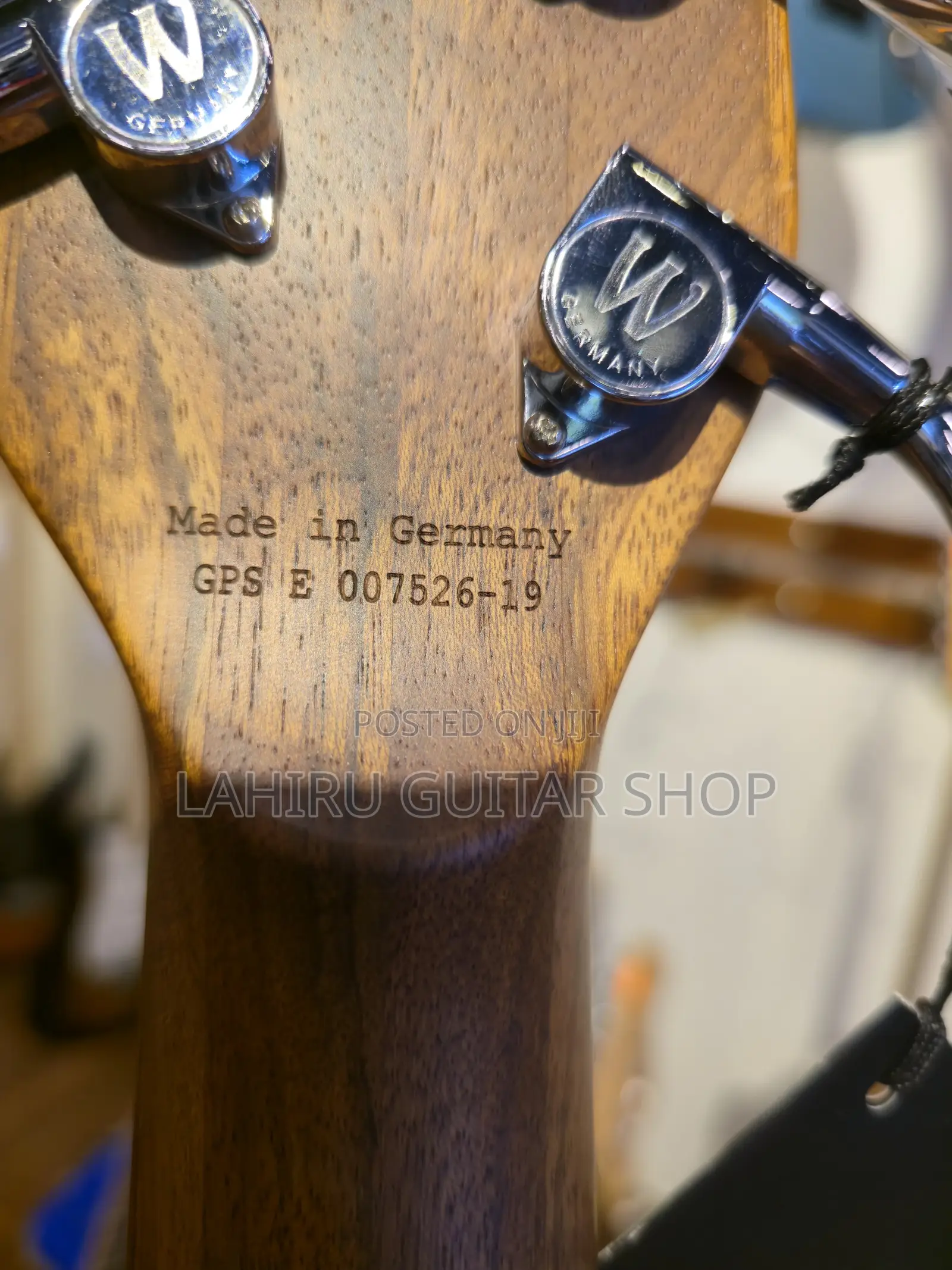 Warwick Team Built Pro Series Corvette - $$ 5 String Bass Gu