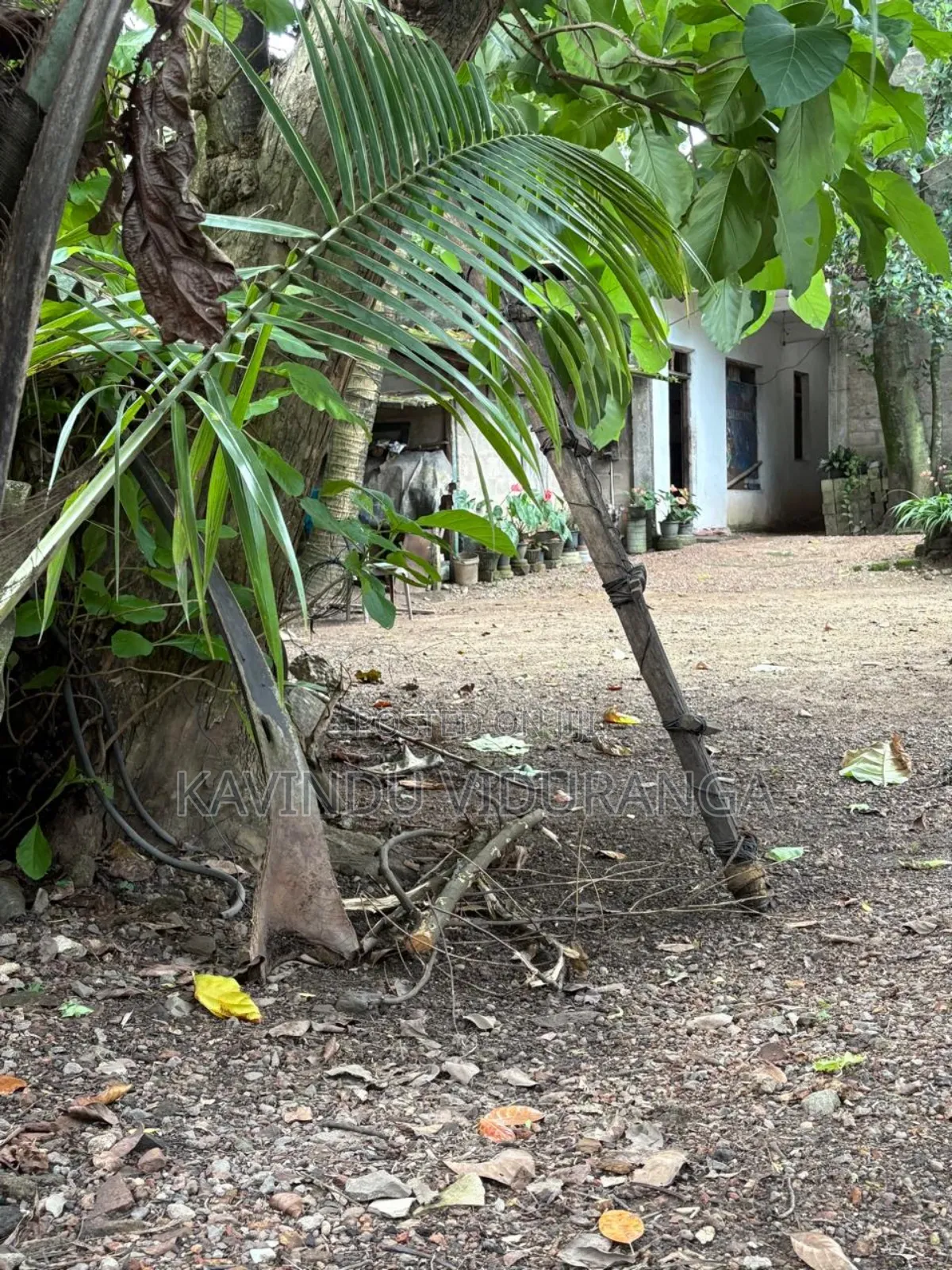 Land Sale for Battaramulla