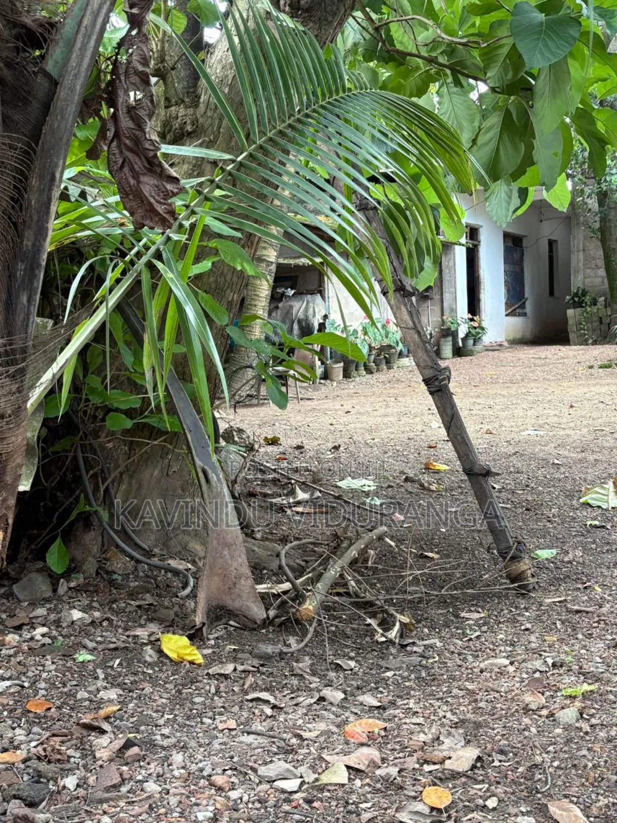 Land Sale for Battaramulla