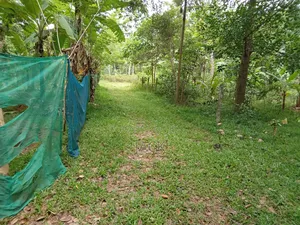 Photo - Land for Quit Sale