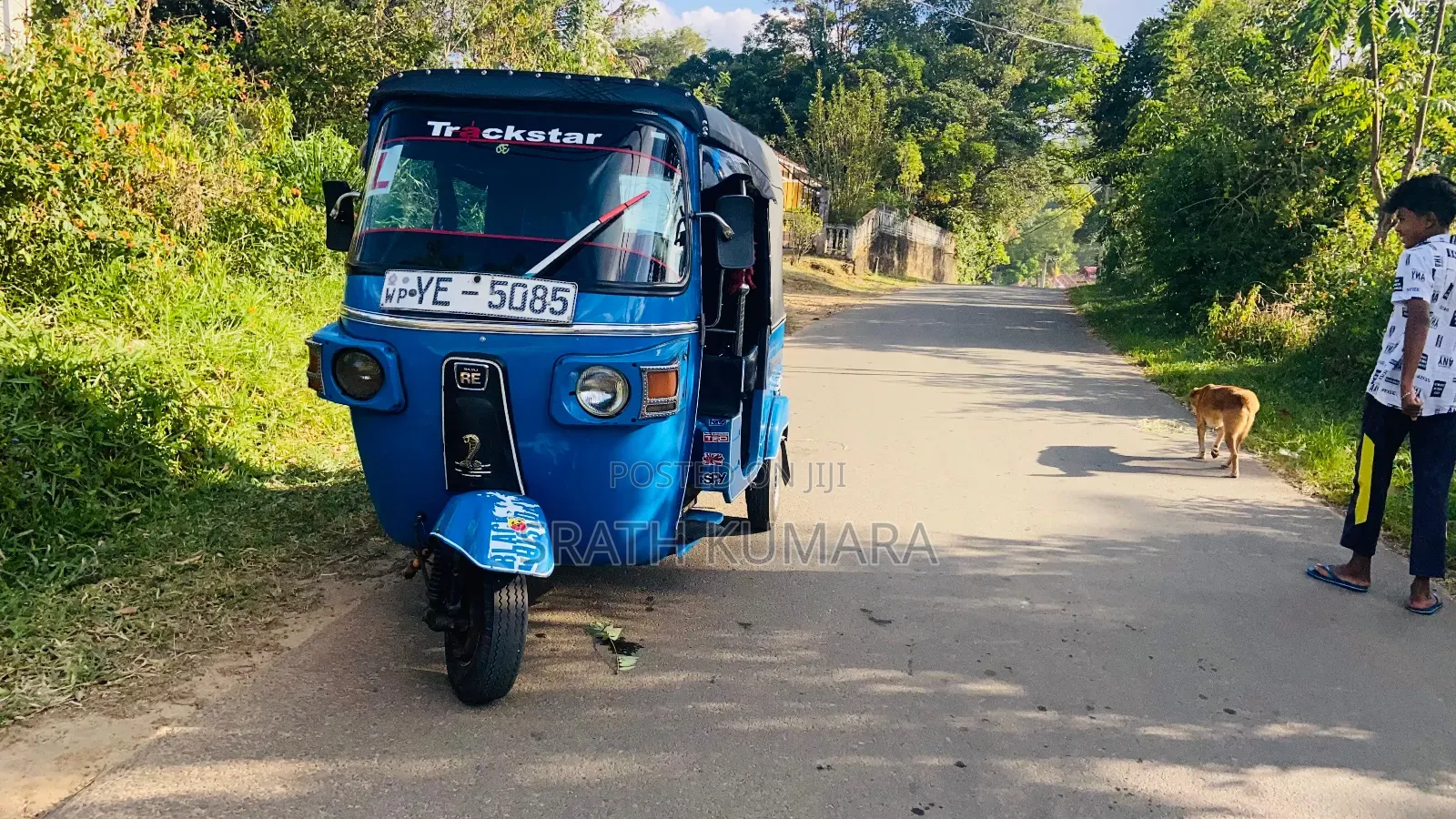 New Bajaj Avenger 200 2010 Blue