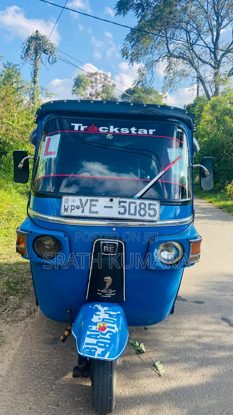 New Bajaj Avenger 200 2010 Blue