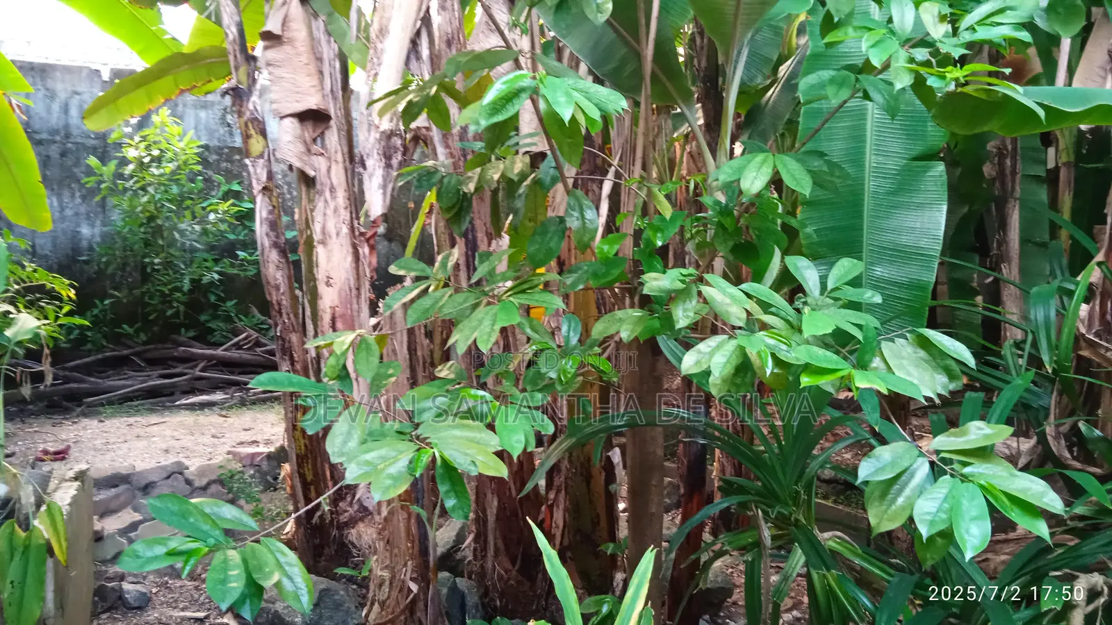 3bdrm House in Mount-Lavinia for sale