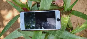 Photo - Apple iPhone 7 128 GB Red
