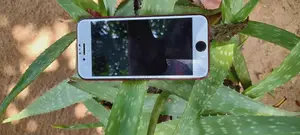 Apple iPhone 7 128 GB Red