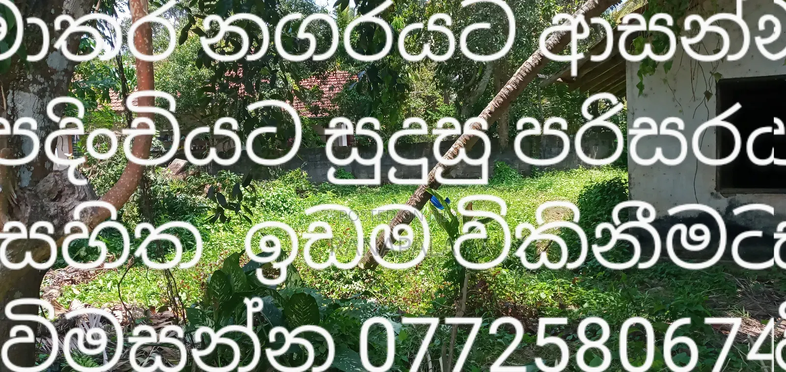 Land for Sale