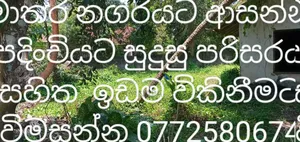 Photo - Land for Sale
