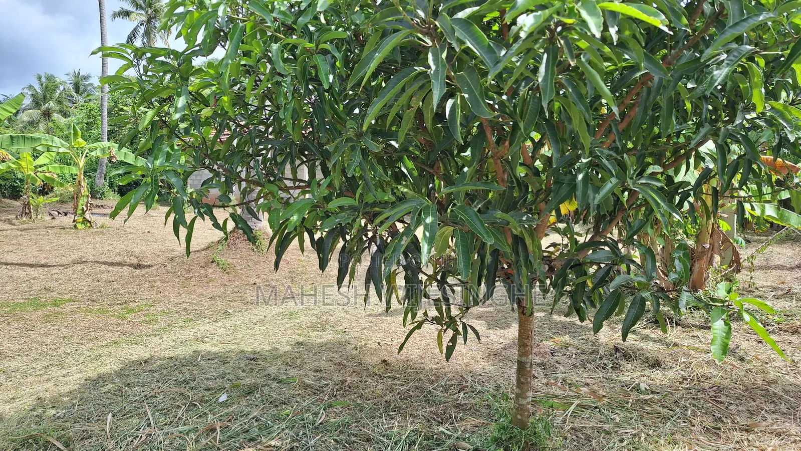 Land Sale in Kuliyapitiya Town