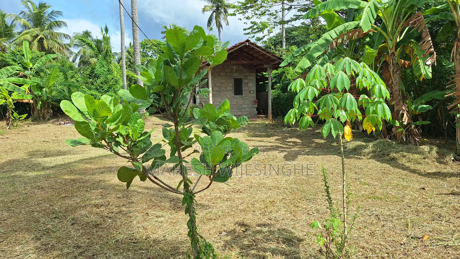 Land Sale in Kuliyapitiya Town