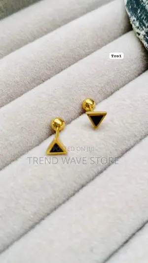 Photo - Men Earrings