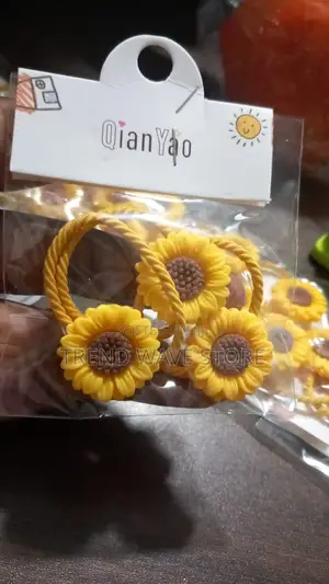Photo - Sun Flower Band