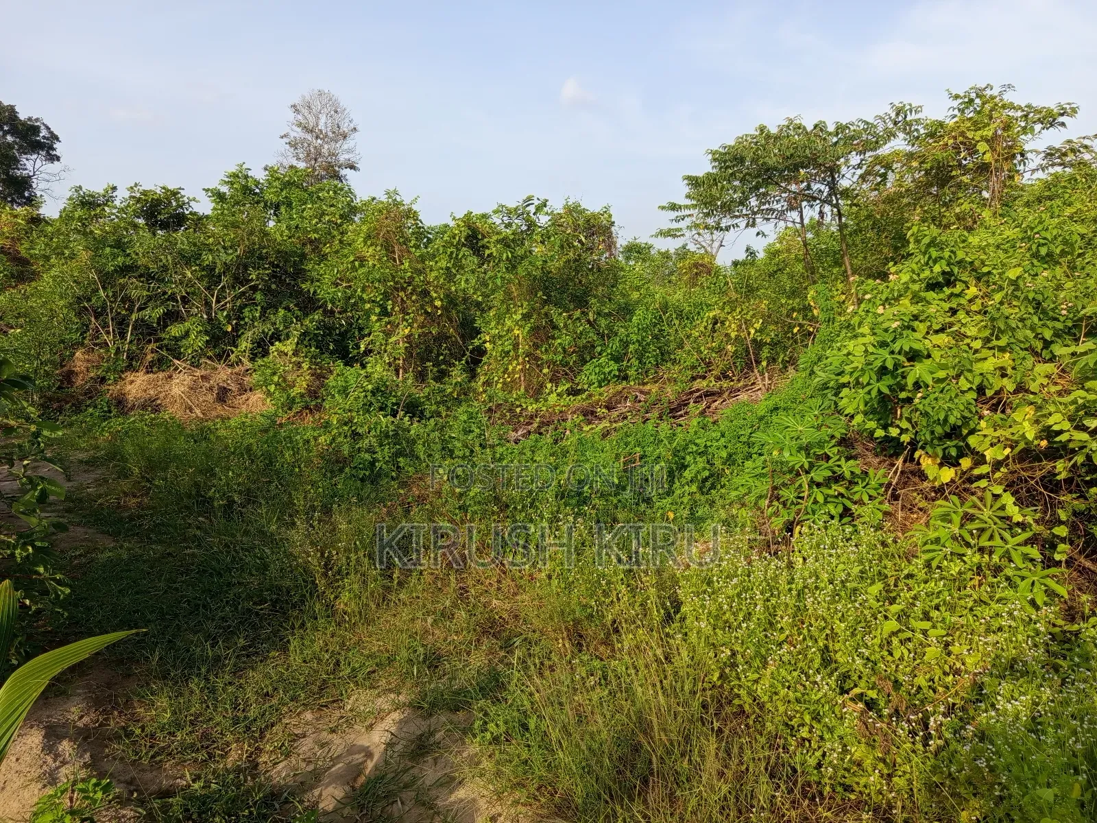 0.75 Acre Land for Sale in Visuwamadu