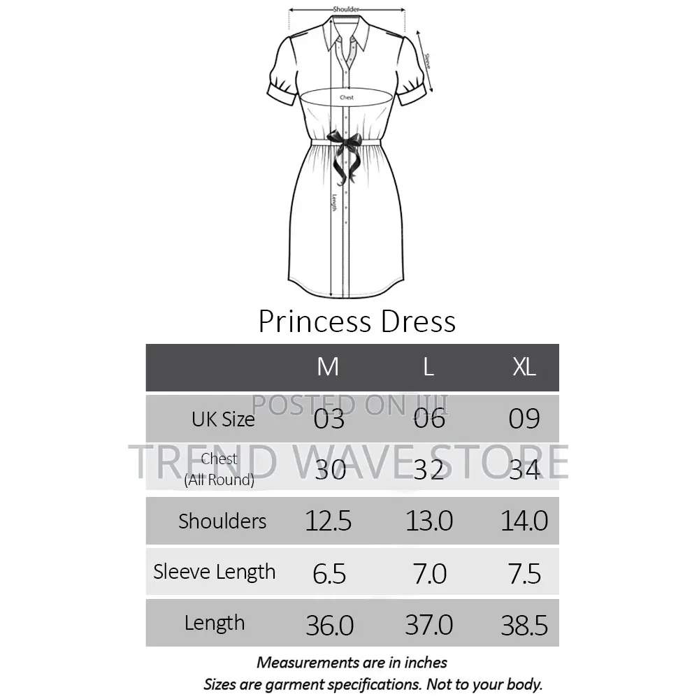 Princess Dress