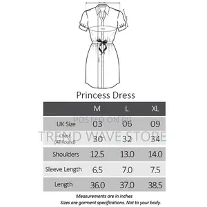 Photo - Princess Dress