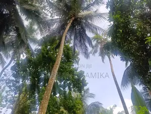 Photo - Property for Sale in Yakkala
