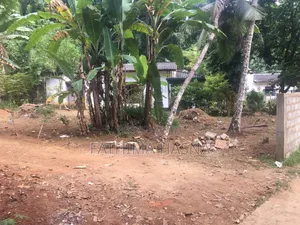 Photo - Land for Sale