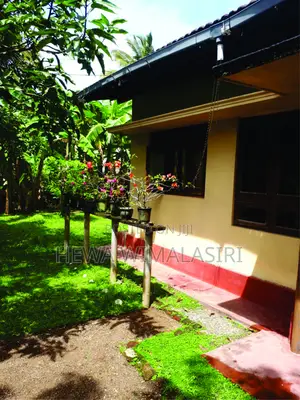 Photo - 4bdrm House in Matara City for sale