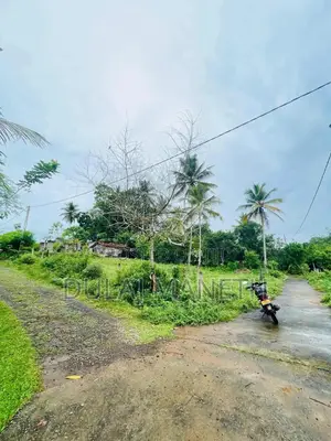 Photo - Land for Sale