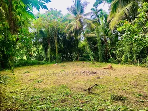 Photo - 40 Perchs Land for Sale in Minuwangoda (110,000 - Per Perch)