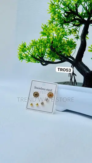 Photo - Stainless Steel Earrings