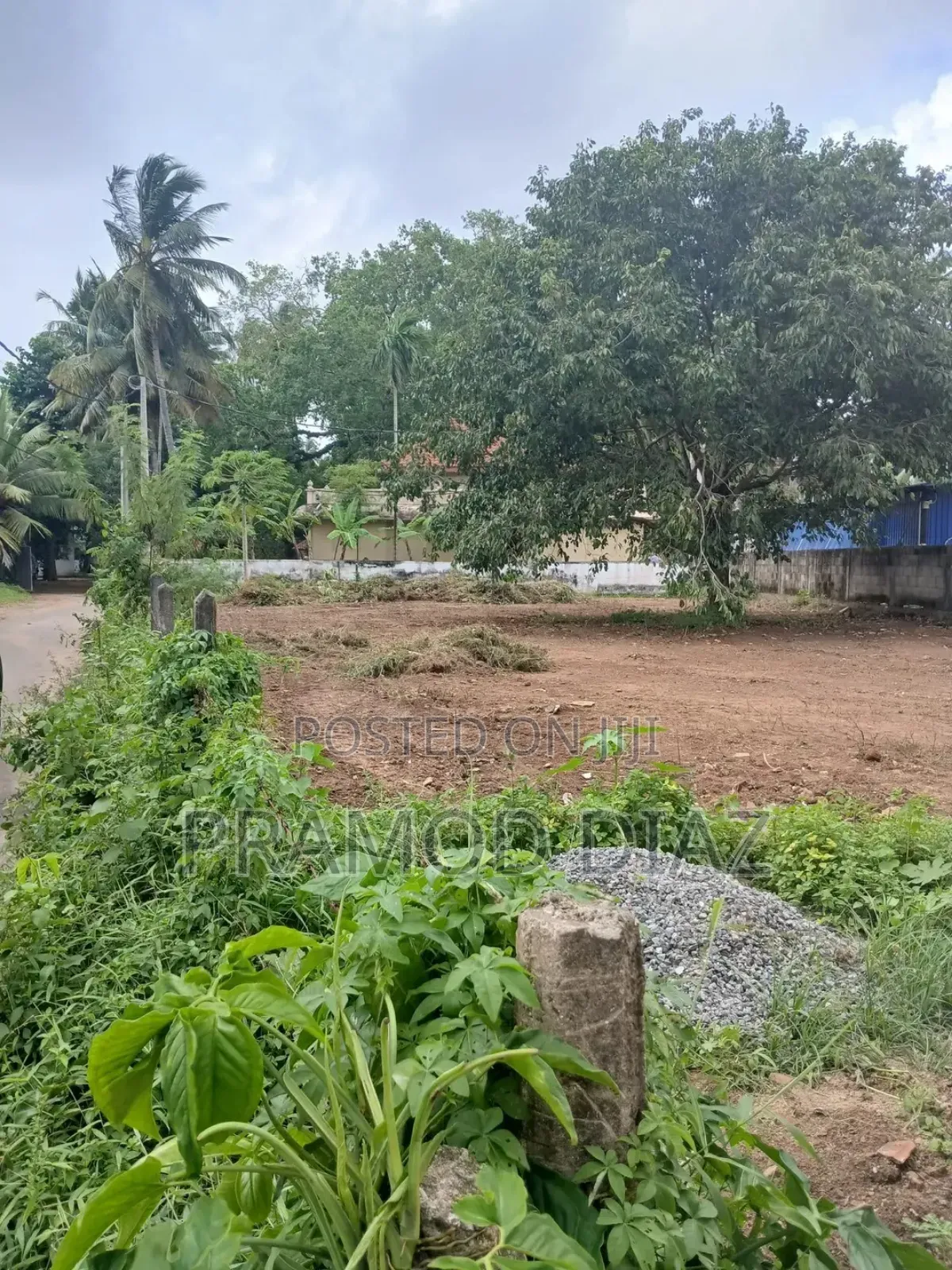 Land for Rent in Boralesgamuwe