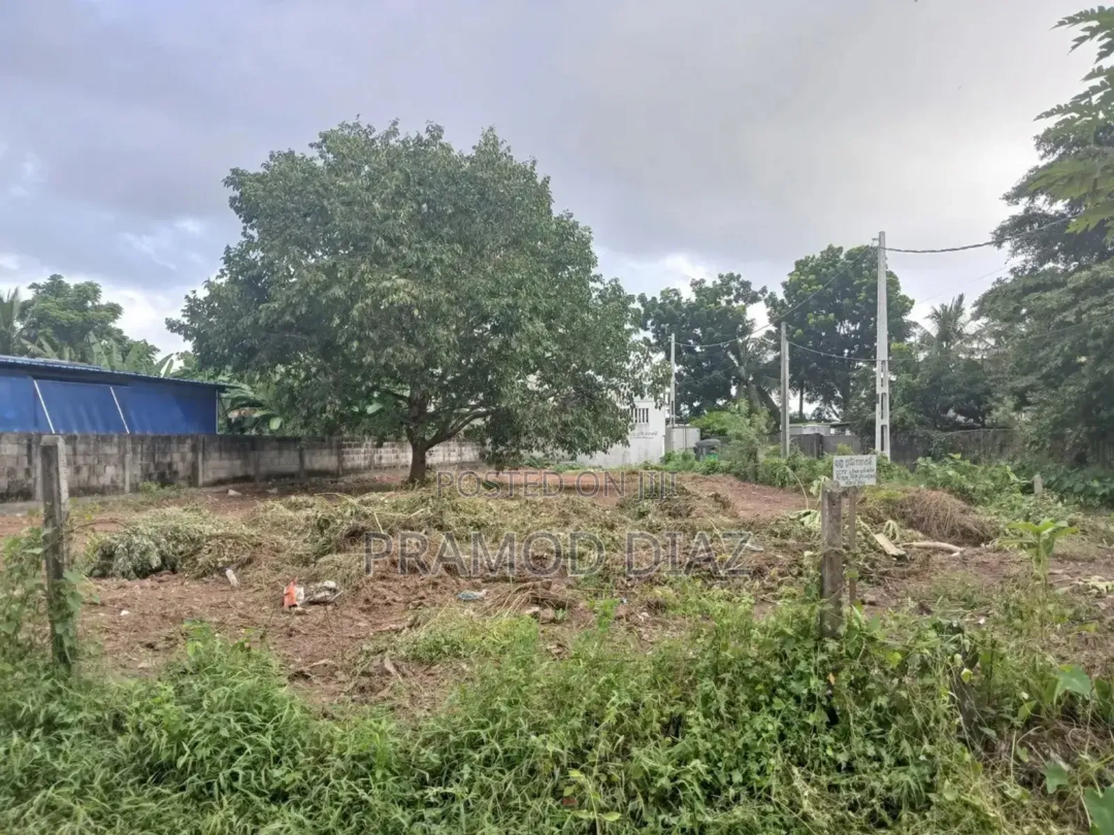 Land for Rent in Boralesgamuwe