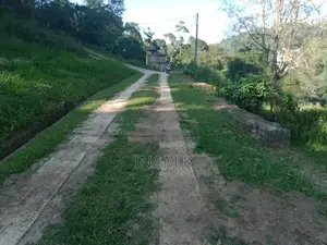 Photo - River Facing Land for Sale