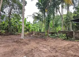 Photo - 26.5 Perch Land for Sale