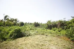 Photo - Bare Land for Sale – In Uswatakeiyyawa, Pamunuwa, Wattala