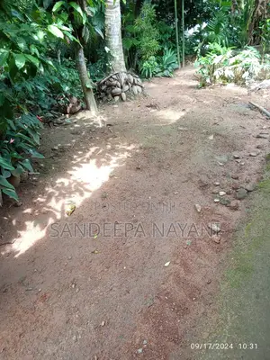 Photo - Build Your Dream