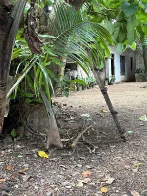 Battaramulla Land Sale