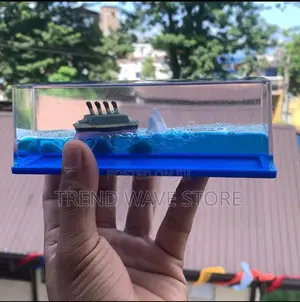 Car Dashboard Titanic Cruise Ship