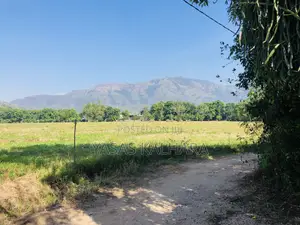 Photo - Land for Sale in Wellawaya