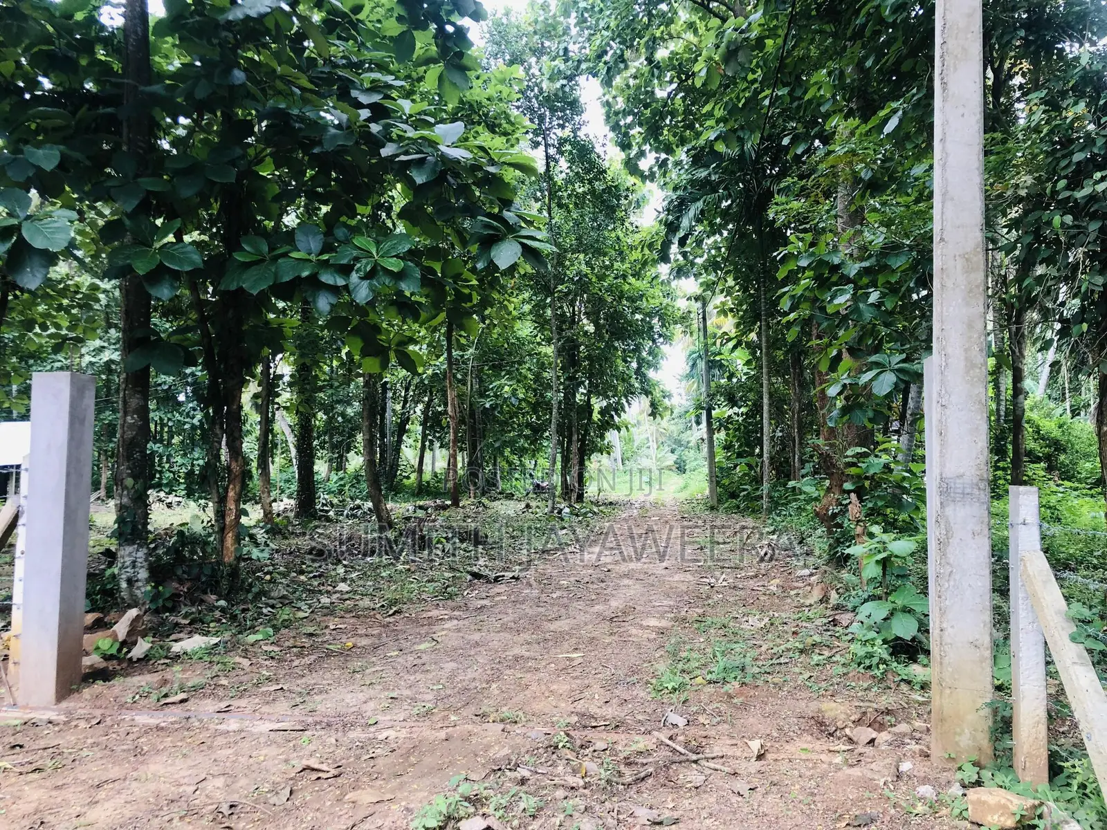 Land for Sale With 60 Amp Electricity in Giriulla.