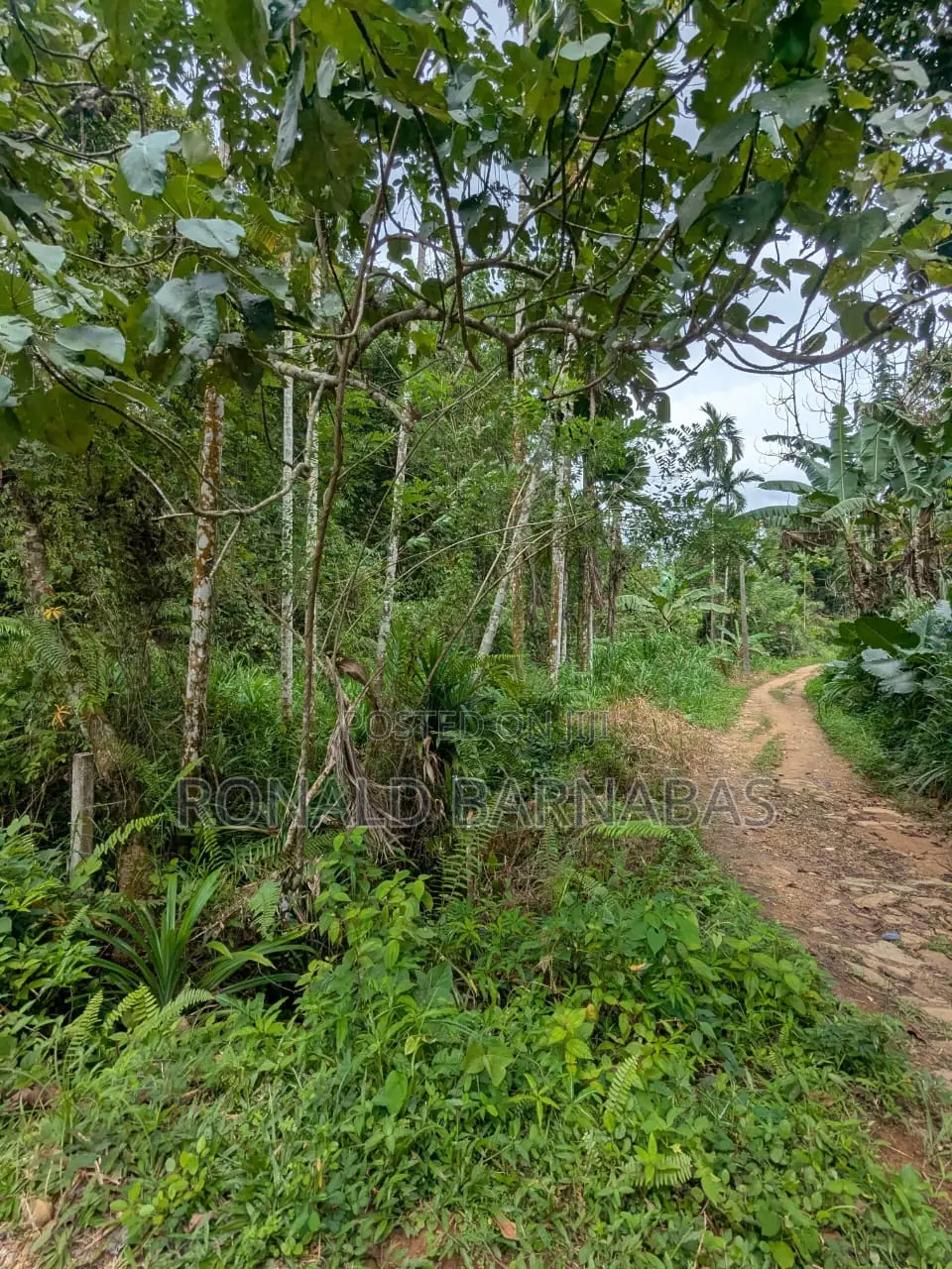 Land for Sale Buduruliya Hidagala