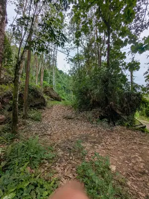 Land for Sale Buduruliya Hidagala