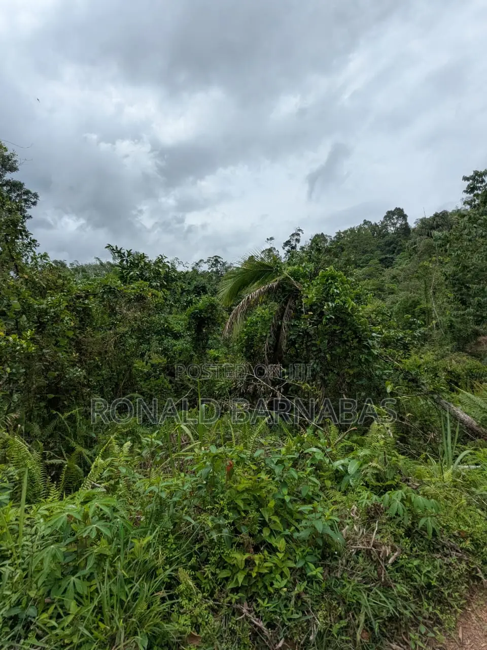 Land for Sale Buduruliya Hidagala