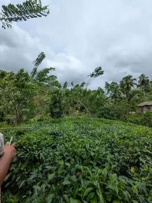 Land for Sale Buduruliya Hidagala