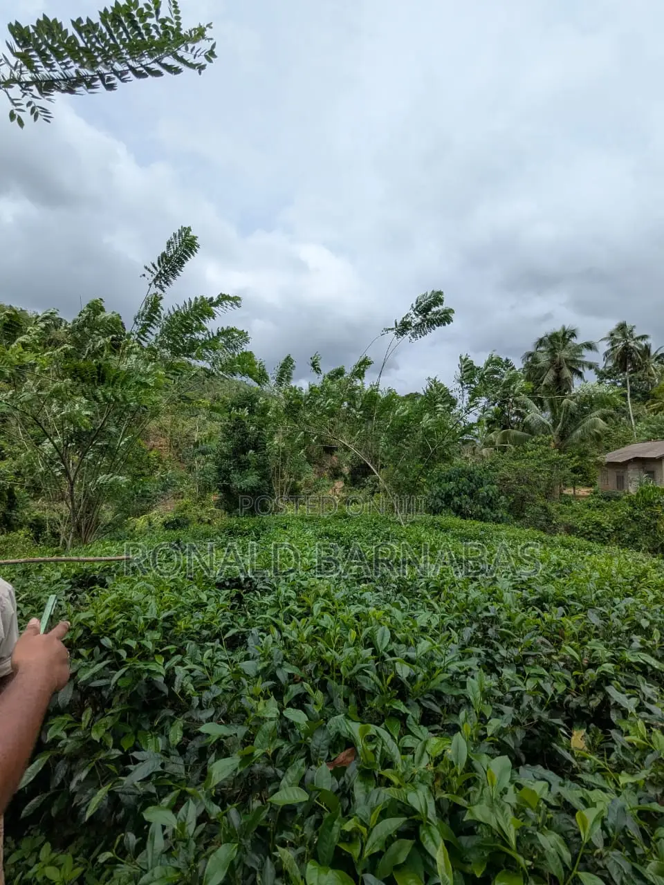 Land for Sale Buduruliya Hidagala